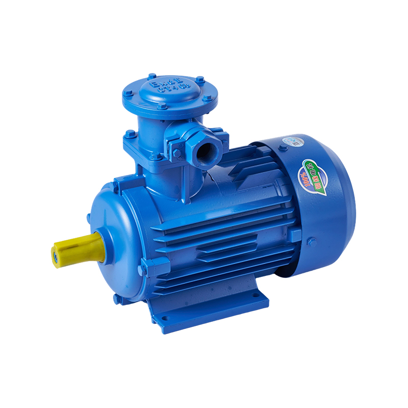 YBX3 YBX4 YBX5 Series High-Efficiency Flameproof Three-Phase Asynchronous Motors